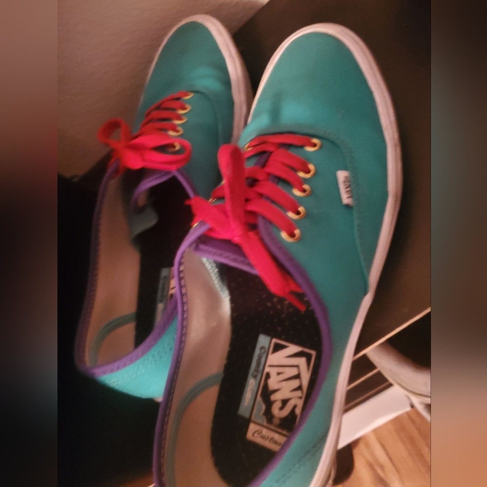 Custom vans